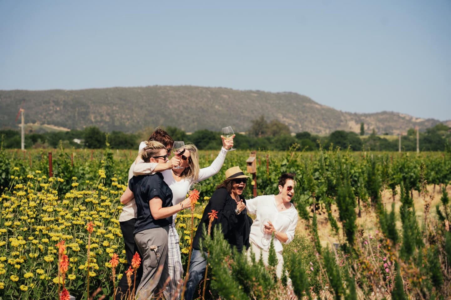 A group of six adults stand together in a vineyard, holding wine glasses and smiling, surrounded by flowers and greenery with hills in the background.