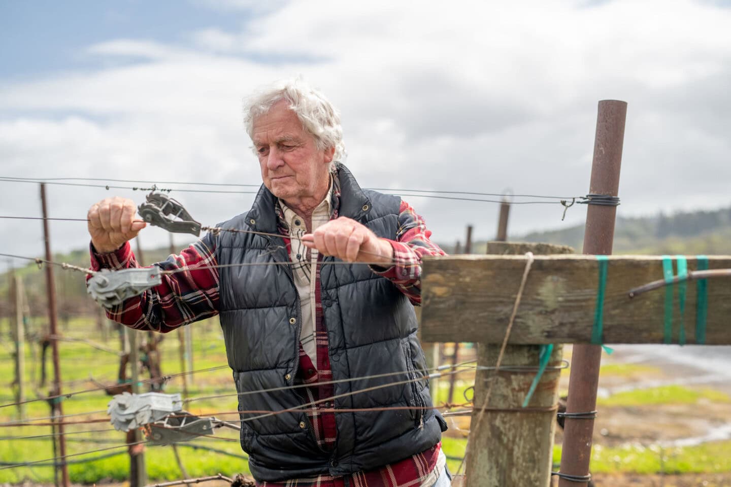 An older man in a plaid shirt and black vest adjusts wires on a wooden post in a vineyard, with green fields and a cloudy sky in the background.