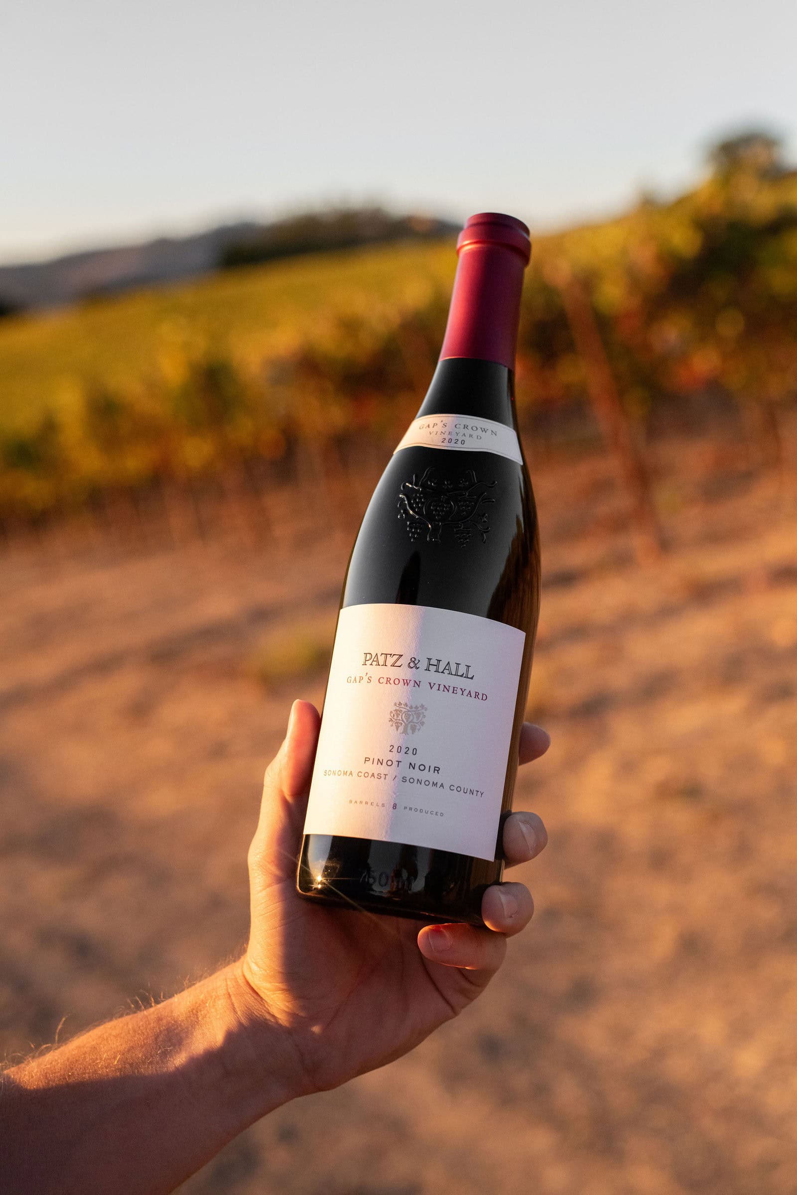 A hand holds a bottle of Patz & Hall Gap's Crown Vineyard 2019 Pinot Noir in a vineyard at sunset.
